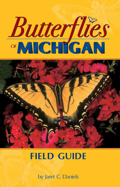 Butterflies Michigan FG